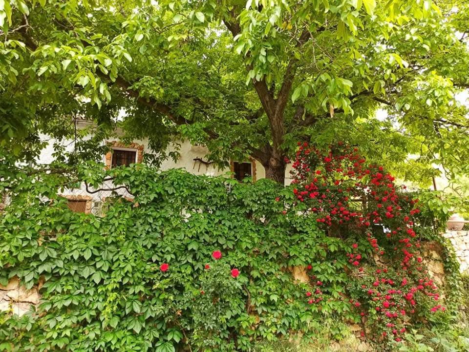 Country house Cortijo Ramon Petra Nerpio